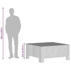 VidaXL - Voetensteun - Grijs - Poly Rattan - Met Kussens -Meubelwinkel 0ddab0ca48d54f46aed01c20061551c9