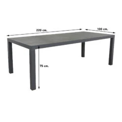 VDG President Tuintafel 220 X 100 Cm -Meubelwinkel 1000074490 0101