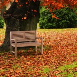 CLP Teakbank Halden 120 Cm -Meubelwinkel 1000095889 0103