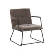 Fauteuil Hailey Grijs Chenille - Stof - Grijs 2 Fauteuil Hailey Grijs Chenille - Stof - Grijs -Meubelwinkel 1000097054