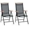 VidaXL - Tuinstoelen - Zwart - Aluminium En Textileen - 2 Stuks - Inklapbaar 1 VidaXL - Tuinstoelen - Zwart - Aluminium En Textileen - 2 Stuks - Inklapbaar -Meubelwinkel 1000162960