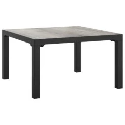 VidaXL - Tuintafel - Grijs - DPC En Staal - 55 X 55 X 31 Cm