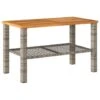 VidaXL - Salontafel Met Opbergruimte - Grijs - Poly Rattan En Hout - 70x38x42 Cm -Meubelwinkel 1000172505