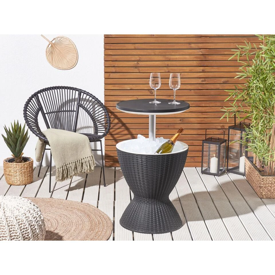 AISA - Koelbox - Zwart - Polypropyleen 4 AISA - Koelbox - Zwart - Polypropyleen - Afbeelding 2