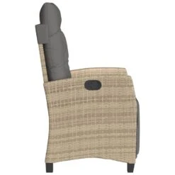 VidaXL - Tuinstoel Verstelbaar Met Voetensteun - Beige - Poly Rattan -Meubelwinkel ee0b5672b71c4768ab263c4969756ed3