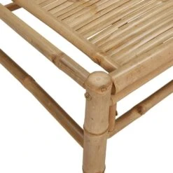 VidaXL - Tuintafel - Bruin - Bamboe - 100 X 55 X 33 Cm -Meubelwinkel f3ebbd422d8849ee90b25e79f82215f7